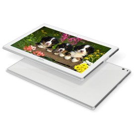 Lenovo Tab 4 Tableta Android, Pantalla táctil IPS de 10,1 Pulgadas(1920 x 1080), 2GB RAM, 16GB de Almacenamiento, Wi-Fi, Doble cámara, Android 7,1 (reacondicionado)