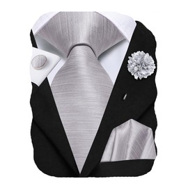 Hi-Tie Mens Grey Tie Set Silk Woven Necktie with Lapel Pin Pocket Square Cufflinks Set for Wedding Party
