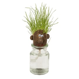 LCDG Bartl 111335 Mini Grass Head