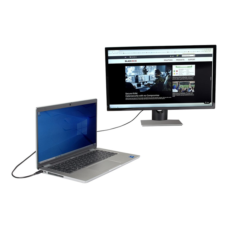 Black Box USB-C to HDMI Active Adapter Cable, 4K60, HDR,