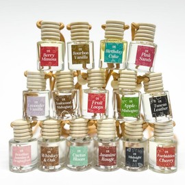 Scented Car Air Freshener - Long Lasting Car Diffuser - Last 60+ Days:_Hot Apple Cider