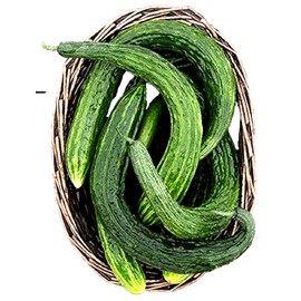 Seeds Suyo Long Cucumber Seeds 25 Seeds NON-GMO BUY 4 GET FREE SHIPPING!!!!!!