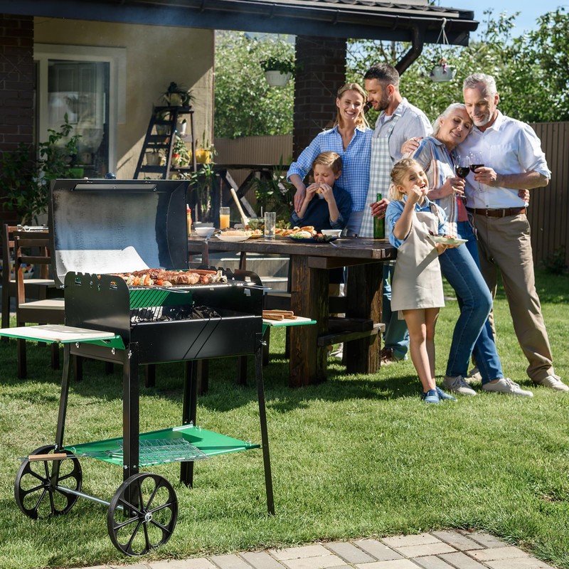 RONGTAI 4-Outlet Ignition Module and Button with Wires - Replacement