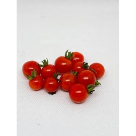 Everglades Tomatoes Seeds Harvested organically Grown from Florida