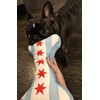 Chicago Flag Bone Dog Toy