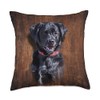 Black Lab Labrador Retriever Dog Portrait Throw Pillow