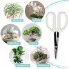 LOOPSEED Precision Gardening Scissors Plant Trimming Pruning Shears Garden Pruners