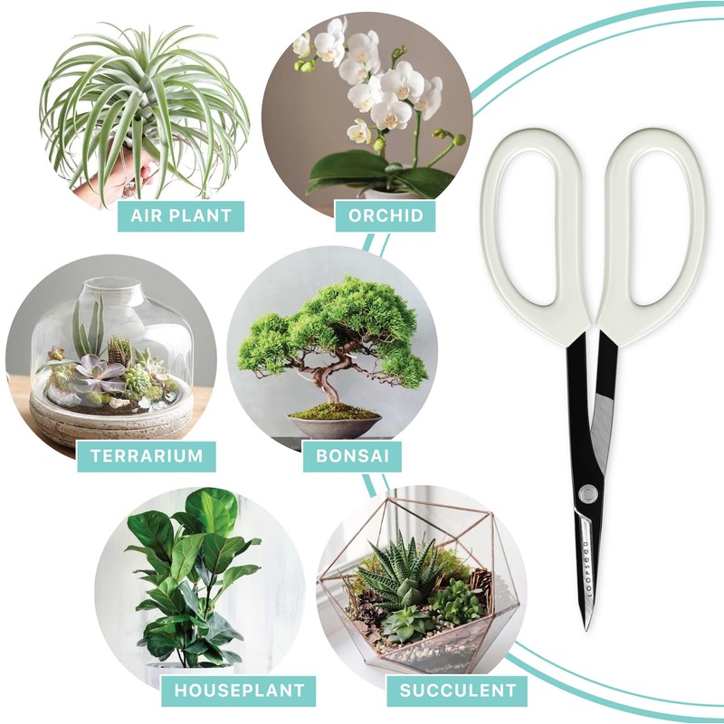 LOOPSEED Precision Gardening Scissors Plant Trimming Pruning Shears Garden Pruners