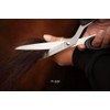 Tail Scissors – Horse Scissors in Stainless Steel