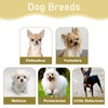 Dog Muzzle Prevents Biting and Eating, Barking and Chewing, 8-13