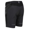 Regatta Mens Mountain II Shorts Ash/Black
