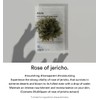 Abib Weak Acid PH Sheet Mask Resurrected Grass Fit 30ml