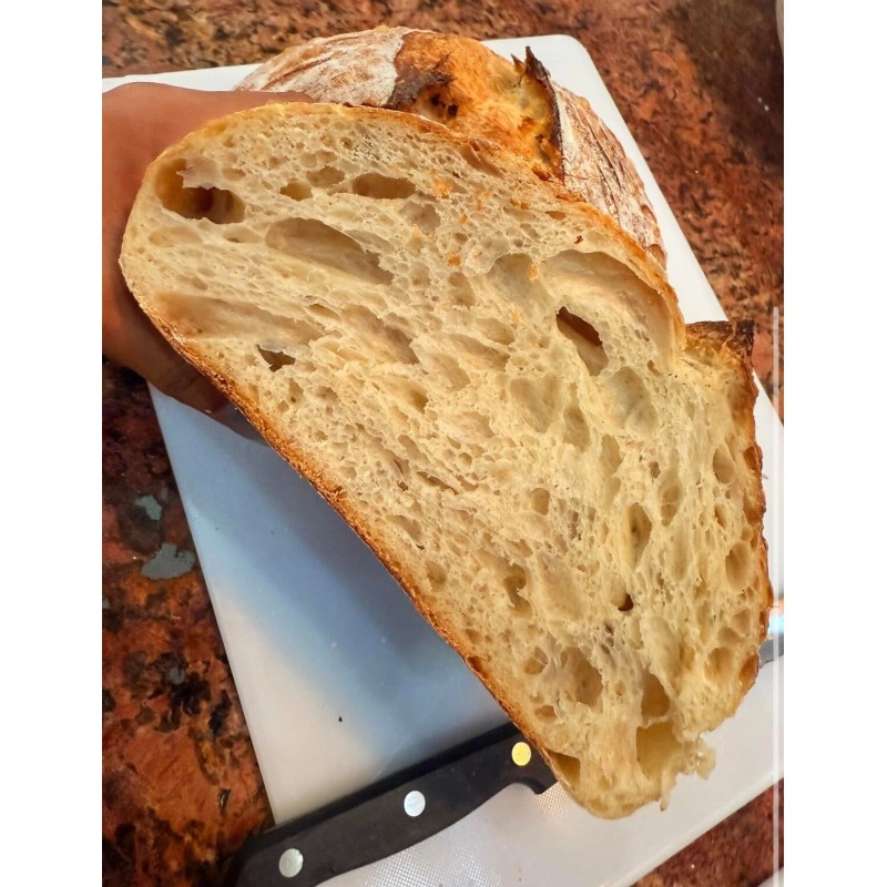 Great Grandmas EASY Sourdough Starter Heritage San Francisco - Live