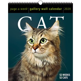 Cat Page-A-Week Gallery Wall Calendar 2020