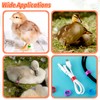 100Pcs 8mm Numbered Pigeon Leg Bands with 8 Color, Quail
