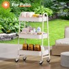 Sweetcrispy 3 Tier Rolling Cart with Wheels, Metal Utility Storage