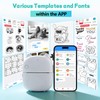 NANSIKE AI Voice Sticker Printer - Mini Portable Thermal Stickerbox