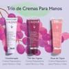 Caudalie Set de Regalo Trío de Cremas Reparadoras de Manos