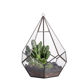 NCYP Wall Hanging Glass Geometric Terrarium Modern Indoor Opening Polyhedron Diamond Teardrop Shape Planter Pot Tabletop Decorative Succulent Holder Vase Centerpiece 8.6" ( No Plants )