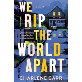 We Rip the World Apart: A Novel