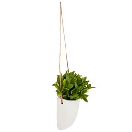 ATMOSPHERA CREATEUR D'INTERIEUR Hanging wall plant H20