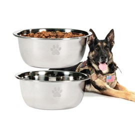Podinor Large Dog Water Bowl 2 Pack, 1.3 Gallons 170oz Stainless Steel Extra Large Dog Food Bowl for Big Giant Dogs, Silver