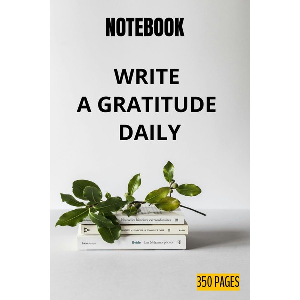 EVERYDAY AFFERMATIONS - 2025 DAILY JOURNAL FOR MEN AND WOMEN,