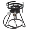 Backyard Pro 10 Qt. Outdoor Aluminum Fish Deep Fryer Cooker