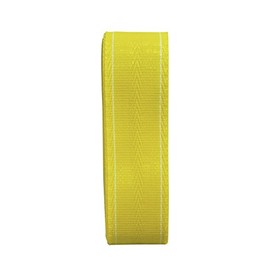 Thermwell Prods. Co. PW39Y 2 1/4" wide 39' long Yellow Webbing