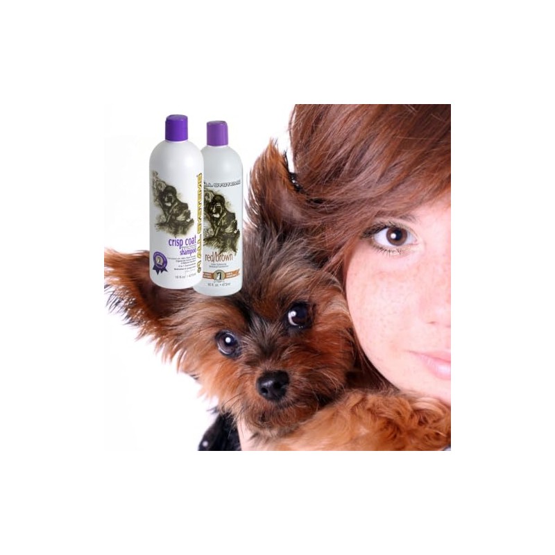 #1 All Systems Red/Brown Color Enhancing Conditioner + Shampoo