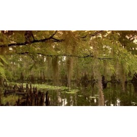 Ma Marie's Lucky 13 Conjure Oil, Lucky Gamblers, Good Luck Folk Magic