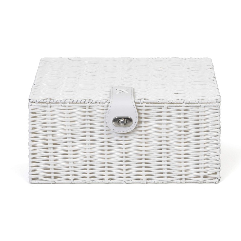 Arpan Medium Resin Woven Storage Basket Box with Lid &