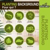 Reptiles Planet Natural Planting Background for Terrarium, 20 x 30