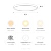 VidaLite Black 16in Round Integrated LED Surface Light, Slim Flush