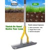 Thatch Rake,Dual-Sided Lawn Dethatcher with Stainless Steel Tines Efficient Thatching
