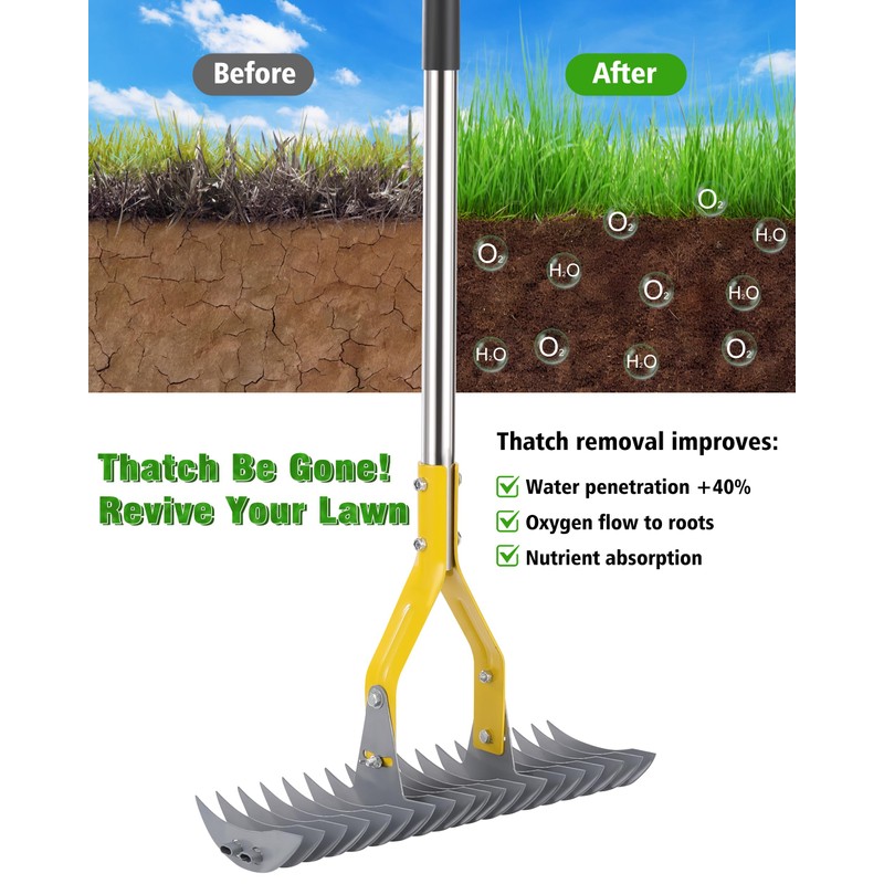 Thatch Rake,Dual-Sided Lawn Dethatcher with Stainless Steel Tines Efficient Thatching