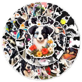 Border Collie Stickers for Laptop (50 PCS),Gift for Children Teens Adults Girl Boys,Waterproof Stickers for Water Bottle,Border Collie Vinyl Stickers for Scrapbook,Skateboard,Bike,Phone,Dairy
