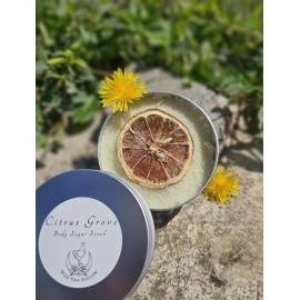 Wild Hen Hollow Citrus Grove Body Sugar Scrub, Exfoliating, Lemon, Fruity, Brighten, Nourishing