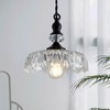 CVKASH Vintage Glass Pendant Light Fixture Black Modern Adjustable Chandelier