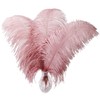 Larryhot Pink Ostrich Feathers Bulk- 16-18 inch 10pcs Feathers for
