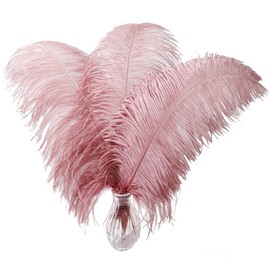 Larryhot Pink Ostrich Feathers Bulk- 16-18 inch 10pcs Feathers for Cfafts,Wedding Party Centerpieces, and Home Decorations (Lotus Pink)