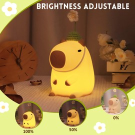 Okayera Capybara Night Light, Cute Flower Squishy Animal Lamp LED Nursery Nightlight with USB Rechargeable Timer Dimmable, Best Home Bedside Decor for Kids on Birthday Christmas Gift