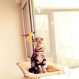 Aevercl for Pet Teaser Toy with Suction up Fun Teaser Kitten Interactive for Pet for Velvet + Metal