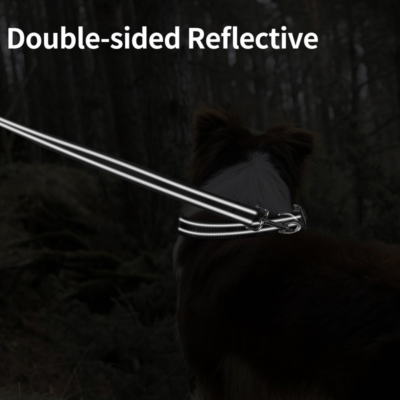 PWOD Double-Sided Reflective Nylon Dog Leash, 4 FT/5 FT/6 FT,