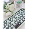 BOYI Jadeite Green Full POM 40gf HiFi Linear Mechanical Switches,5-Pin