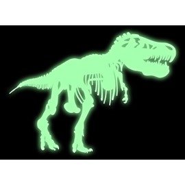 Tyranosaurus Rex Skeleton Vinyl Decal - 11 Inches - for Walls, Windows, Doors, Vehicles - Outdoor-Grade 6mil Thick Vinyl - Glow in The Dark