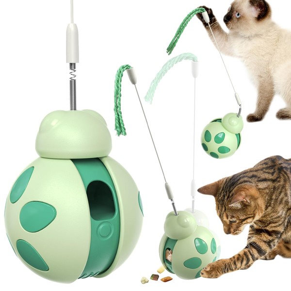 Cat Play Toy Ball Treat Dispenser Tumbler Beetle Interactive Kitty