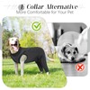 LeLePet Dog Post Surgery Suit with Legs, Surgical Body Suit