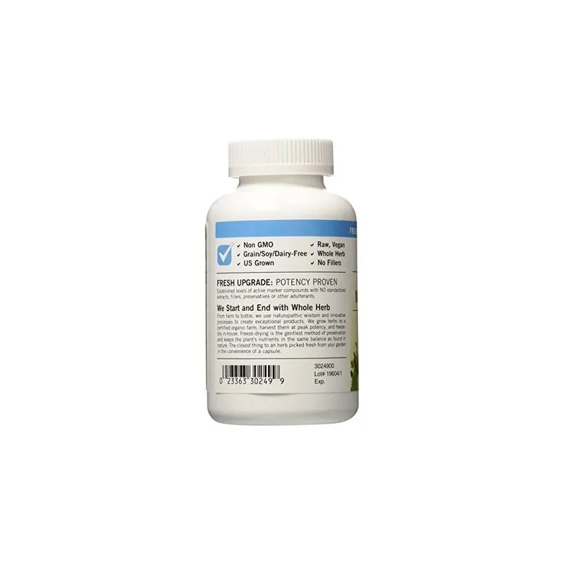 Ecléctica Institución De Cardo Mariano 600mg 240 Caps