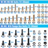Nuts and Bolts Assortment Kit, Flange Bolt Assortment (12-30mm)